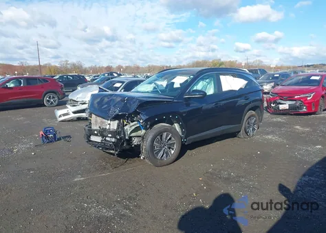2024 Hyundai Tucson Hybrid Blue from USA, damaged, VIN KM8JBCD14RU229446